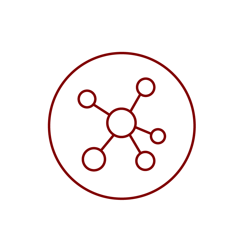 Maroon_Network-29-1