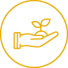 Icons_Yellow-Mentor